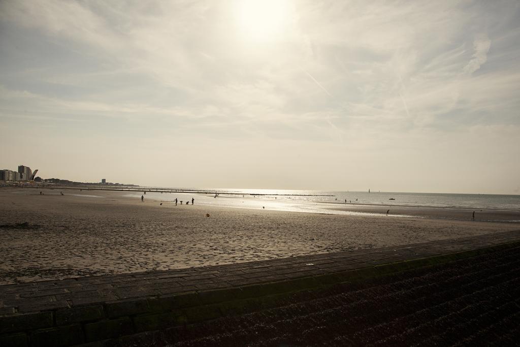 Carpe Diem Nieuwpoort Oda fotoğraf